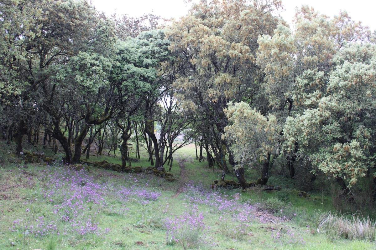 Quinta Da Devesa -B2 Ξενοδοχείο Vinhais Εξωτερικό φωτογραφία